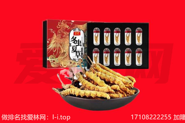 康保县回收虫草.jpg